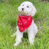 Proudly Sup-PAW-ting MS Pet Bandana