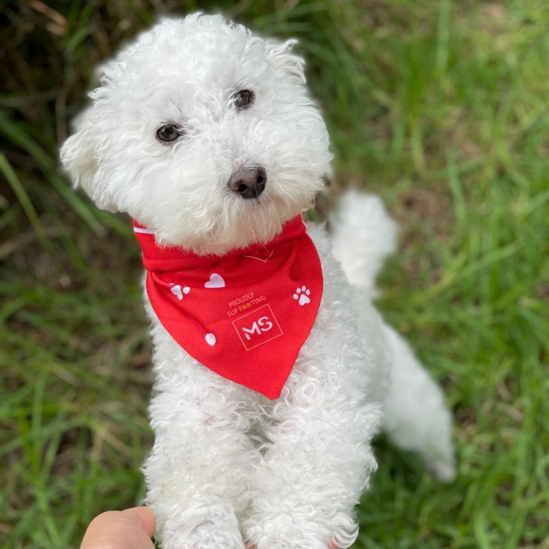 Proudly Sup-PAW-ting MS Pet Bandana